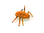 HexBug Szkarabeusz - Narancs